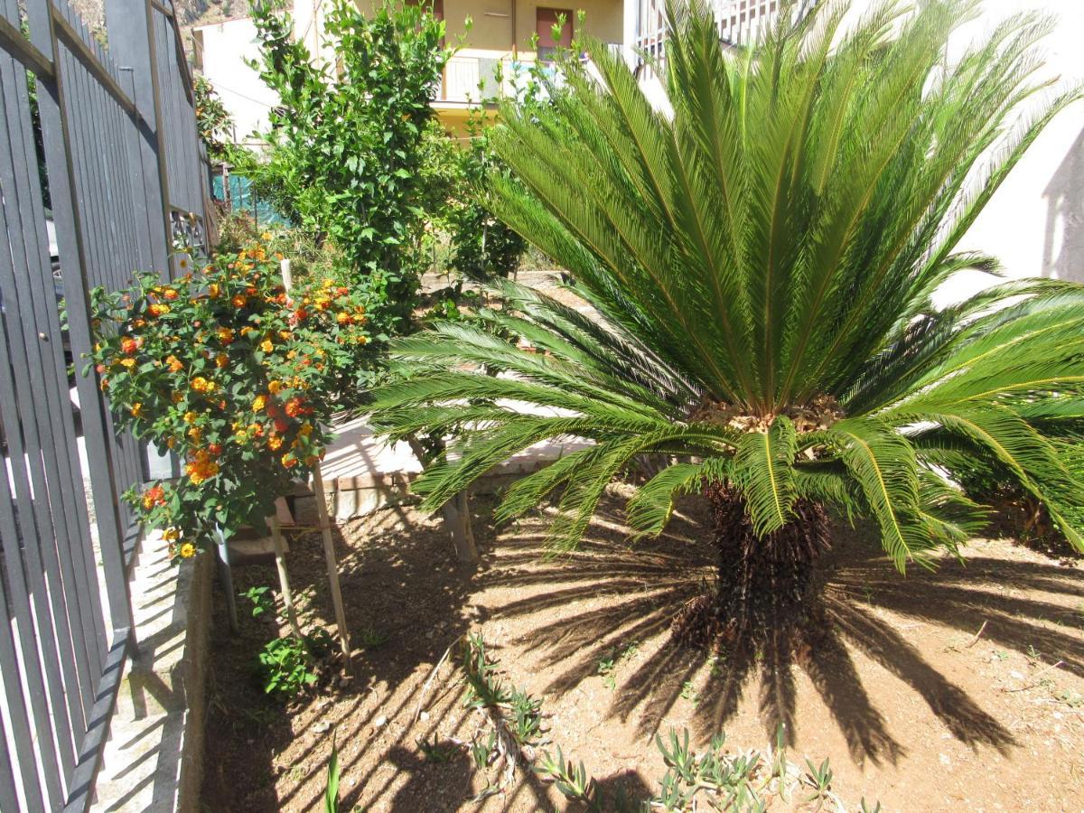 La Cycas Couette-café